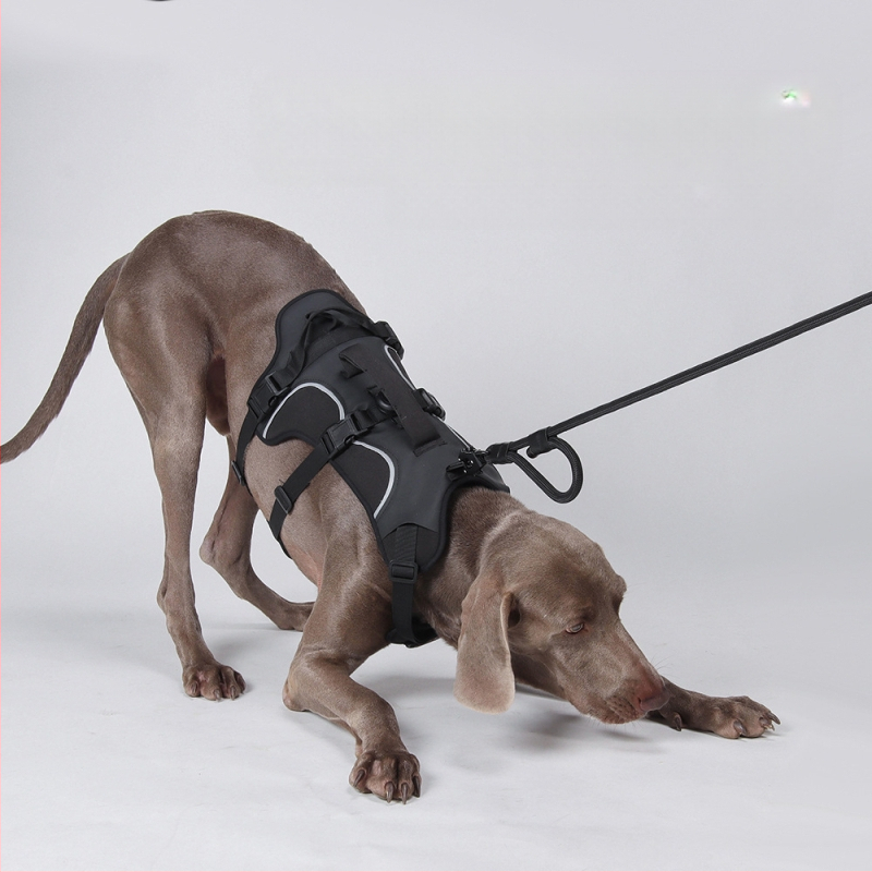 Θωρακικός ιμάντας σκύλου — Oxford ύφασμα, μοντέλο F5011, μη επεκτειόμενος ιμάντας, προέλευση Zhejiang