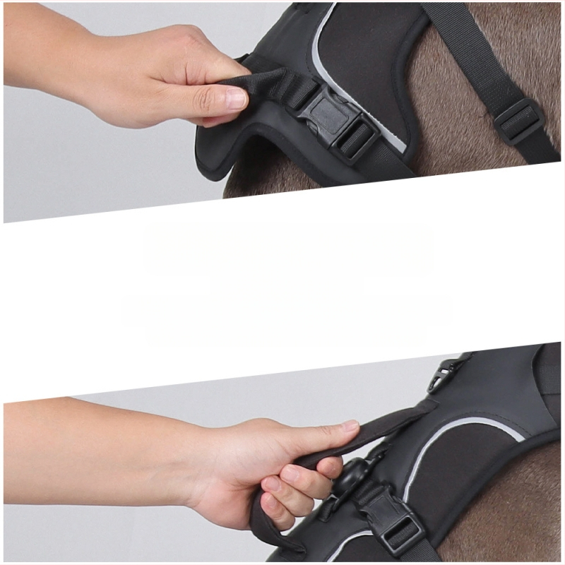 Θωρακικός ιμάντας σκύλου — Oxford ύφασμα, μοντέλο F5011, μη επεκτειόμενος ιμάντας, προέλευση Zhejiang