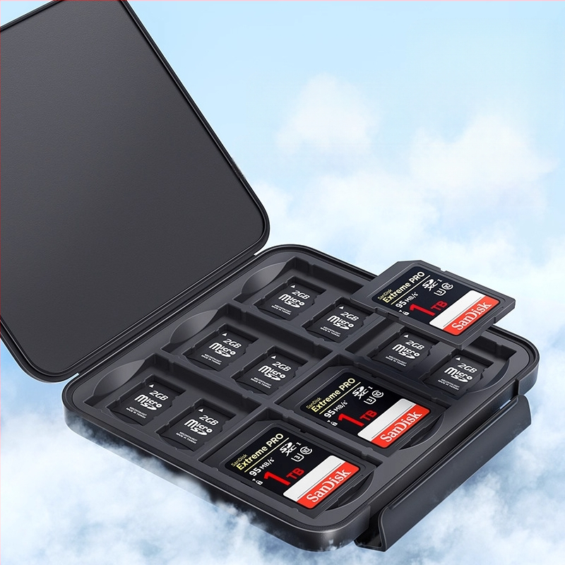 Atminties kortelių saugojimo dėklas – Green Giant Energy llano, šiuolaikiškas minimalistinis apsauginis dėklas SD/atminties kortelėms, CRC10