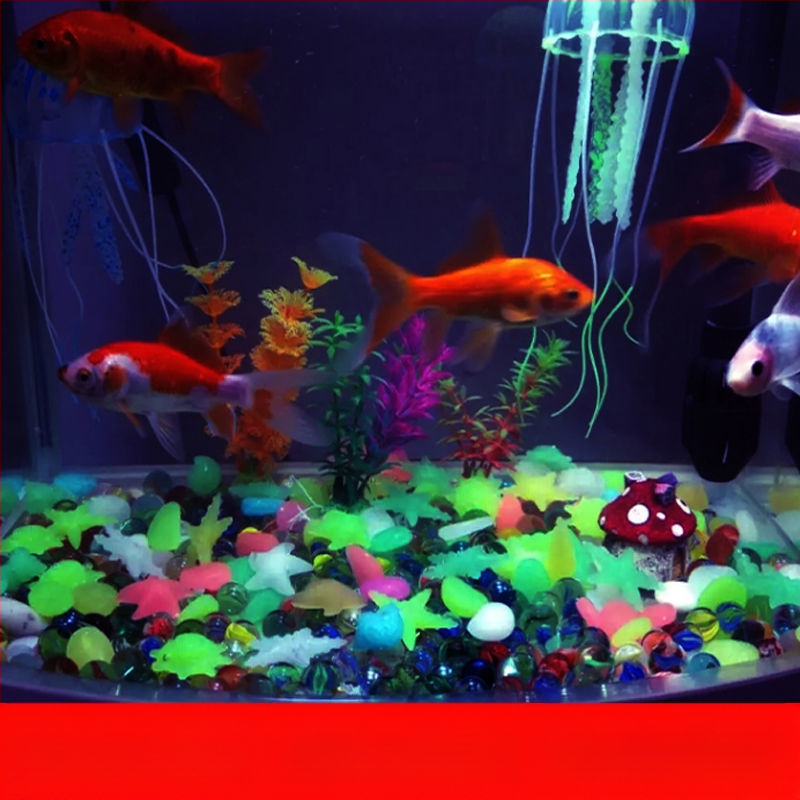 Pietre luminate pentru acvariu, piatră oceanică, decor pentru fundul acvariului, cod 020