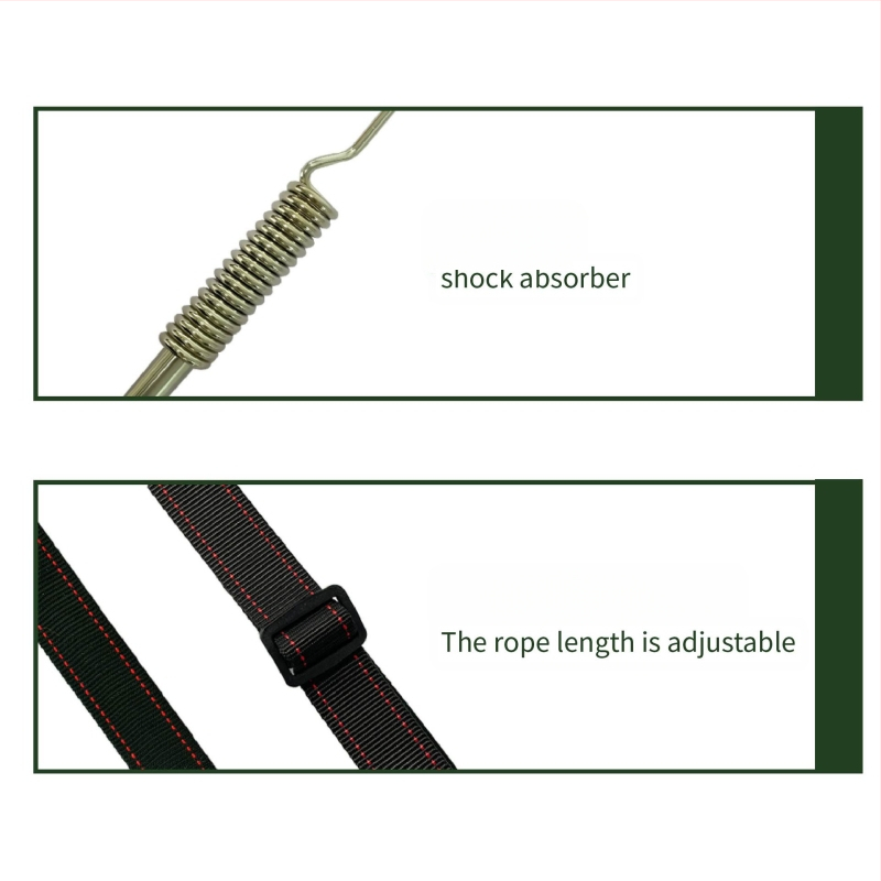 Lesă pentru câini din oțel inoxidabil, PETALENT, utilizare universală, model SCL9462B