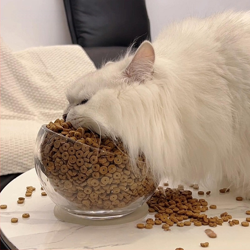 Kačių maisto dubuo — stiklinis, neleidžia lašėti, įlenktas atidarymas, modelis #2235