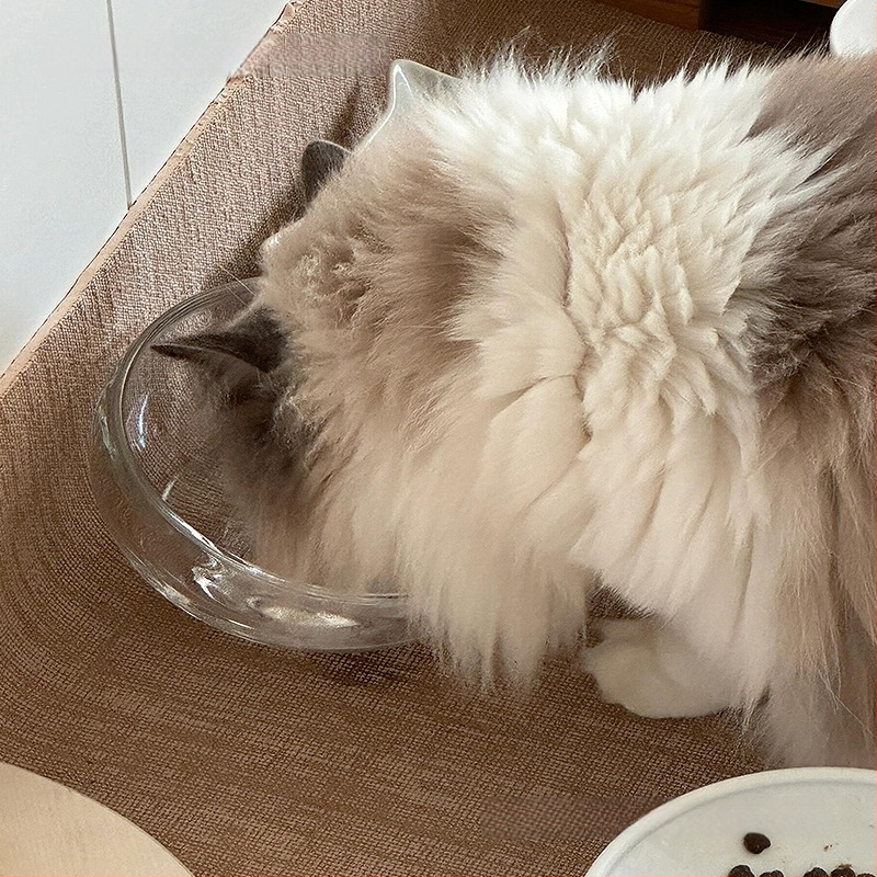 Kačių maisto dubuo — stiklinis, neleidžia lašėti, įlenktas atidarymas, modelis #2235