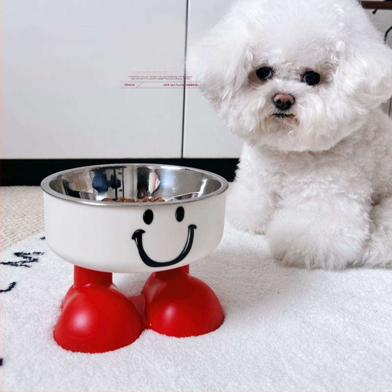 Katės maisto dubuo - plastmasinis, naminių gyvūnų maitinimo reikmenys