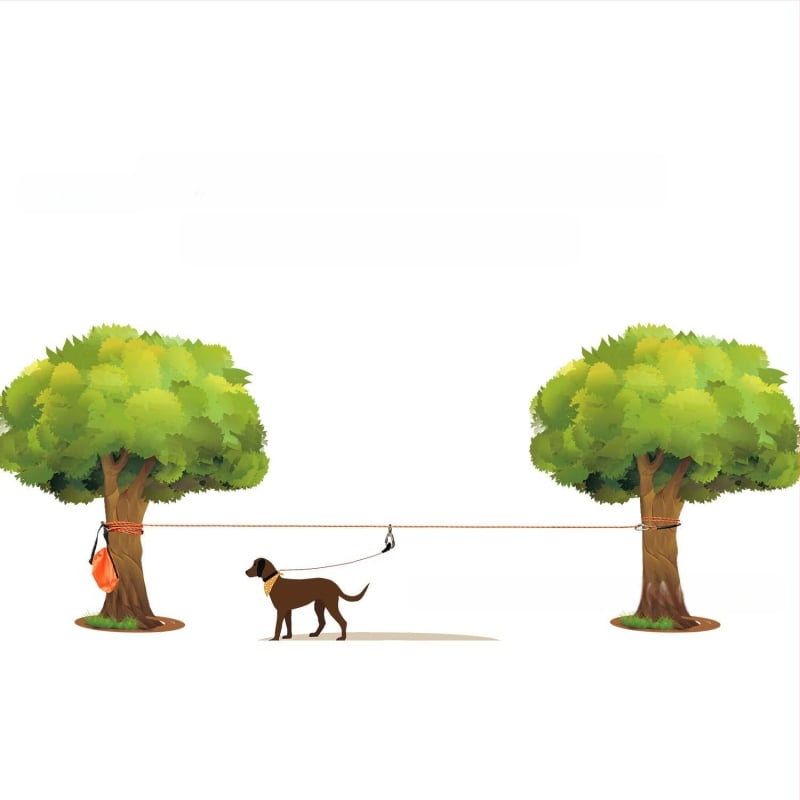 Nailoninė šuns pavadėlis stovyklavimui – ne teleskopinis, 50 vnt. dėžutėje