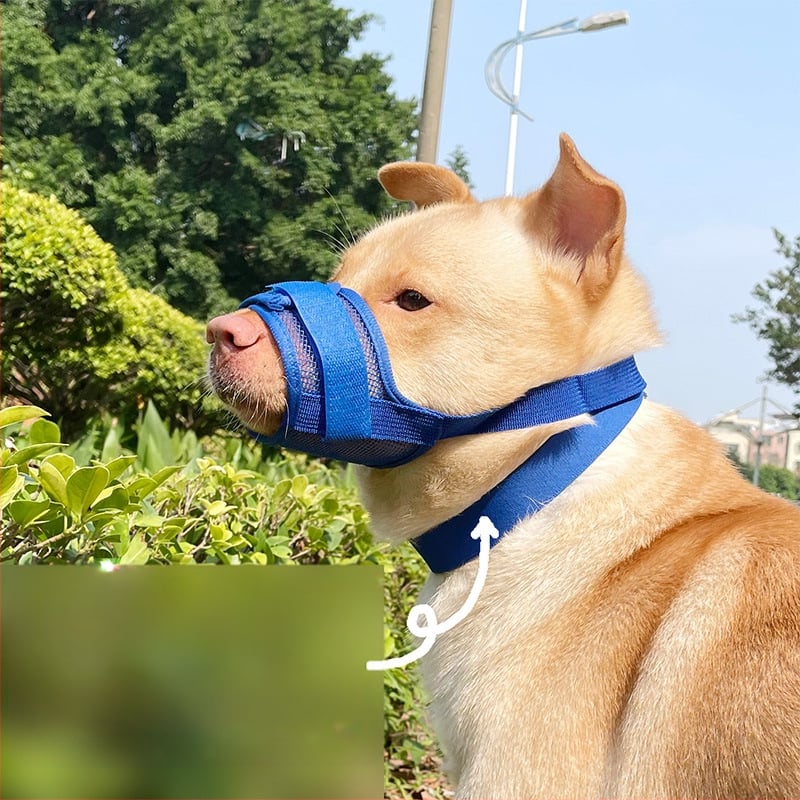 Мюзел за кучета — антихапене, антилаене, предотвратява случайно поглъщане; за всички породи; Категория: Друго; Материал: Друго; Импорт: Не; Марка: Друго; IP авторизация: Няма