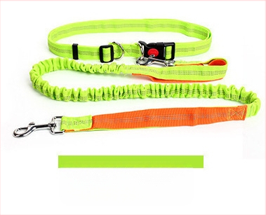 Λουρί σκύλου – Υλικό: Νάιλον; Ελαστικότητα: Ελαστικό; Επεκτασιμότητα: Ναι; Μάρκα: Zhejiang Mingai Pet Supplies; Κατηγορία: Λουρί για σκύλους