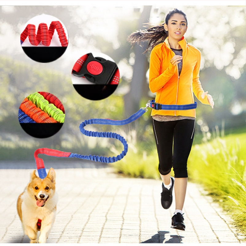 Λουρί σκύλου – Υλικό: Νάιλον; Ελαστικότητα: Ελαστικό; Επεκτασιμότητα: Ναι; Μάρκα: Zhejiang Mingai Pet Supplies; Κατηγορία: Λουρί για σκύλους