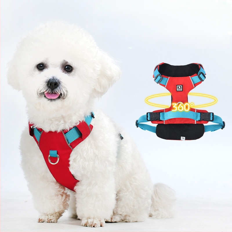 Σετ λουριού και θώρακα για σκύλους - ελαφρύ, διαπνέον, μη ελκτικό - κατάλληλο για μικρά σκυλιά, εξωτερικές βόλτες