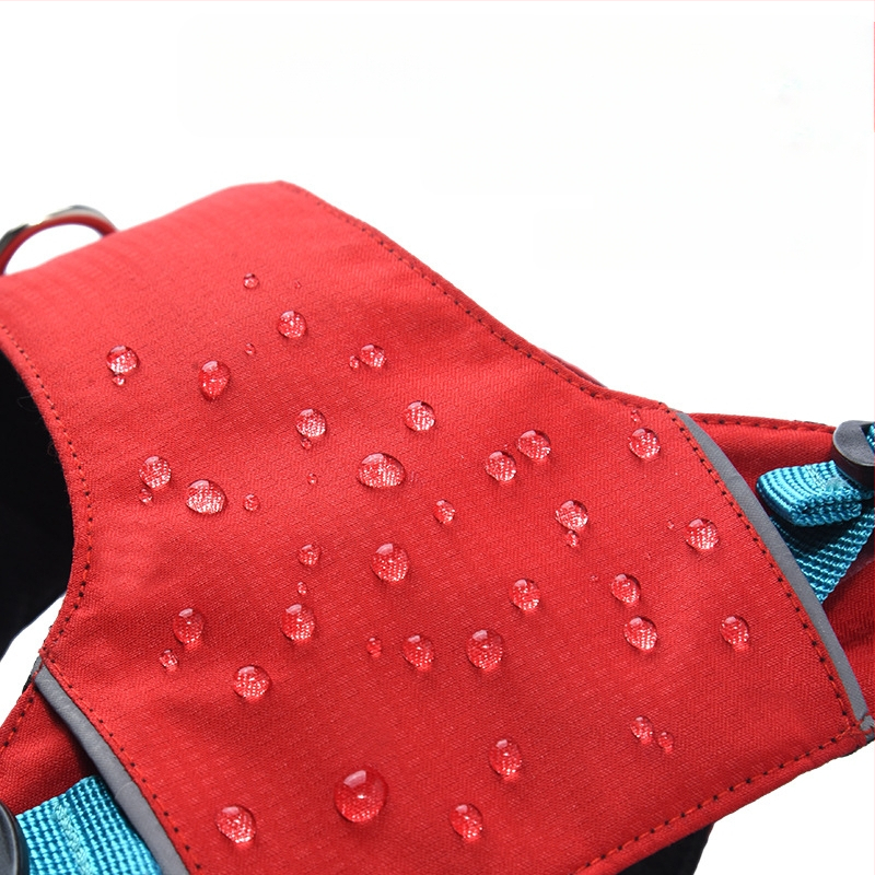 Σετ λουριού και θώρακα για σκύλους - ελαφρύ, διαπνέον, μη ελκτικό - κατάλληλο για μικρά σκυλιά, εξωτερικές βόλτες