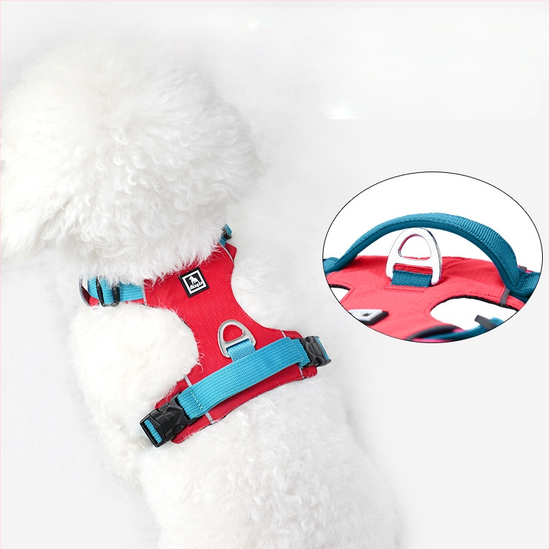 Σετ λουριού και θώρακα για σκύλους - ελαφρύ, διαπνέον, μη ελκτικό - κατάλληλο για μικρά σκυλιά, εξωτερικές βόλτες