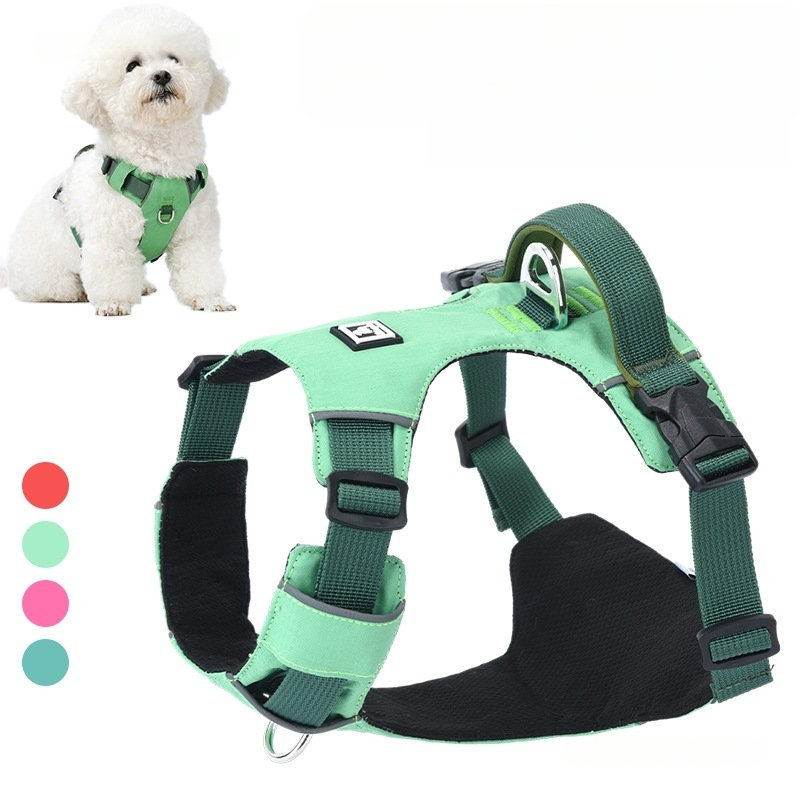 Σετ λουριού και θώρακα για σκύλους - ελαφρύ, διαπνέον, μη ελκτικό - κατάλληλο για μικρά σκυλιά, εξωτερικές βόλτες