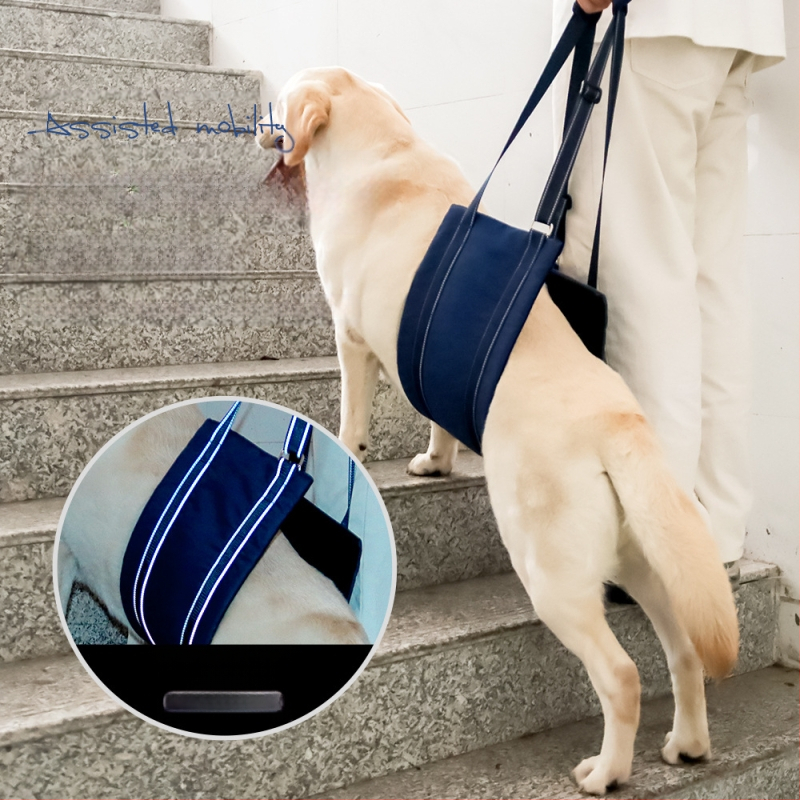 Кучешка рехабилитационна презрамка с регулируема отражателна лента (Материал: Oxford плат / Teddy велур; Регулируема; Отразителна; Марка: To the stars)