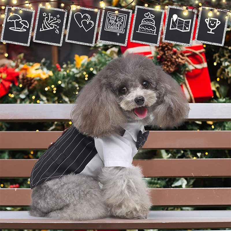 Suņu kāzu veste – formāla veste ar noņemamu kaklasaite, apkakli un bandanu, poliesters, britu stils, preces kods 6802LF