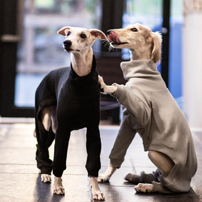 Suņa apģērbs rudens–ziema, silts, augsta kakla, četru kāju dizains ar kokvilnas pildījumu