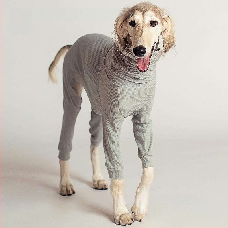 Suņa apģērbs rudens–ziema, silts, augsta kakla, četru kāju dizains ar kokvilnas pildījumu