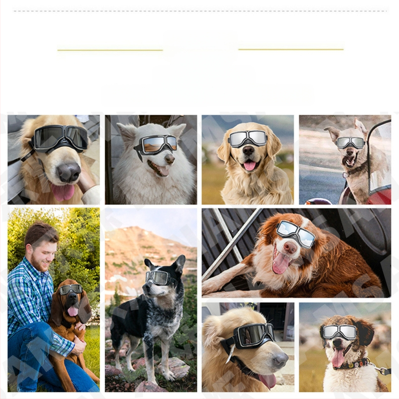 NAMSAN kutya szemüveg, PC+TPU, brit stílus, szélálló és UV-védett