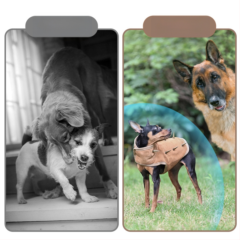 Vesta pentru câini – respirabilă, scut anti-mușcătură, protecție împotriva rupturilor, cataramă reglabilă, PD10077, DogLemi