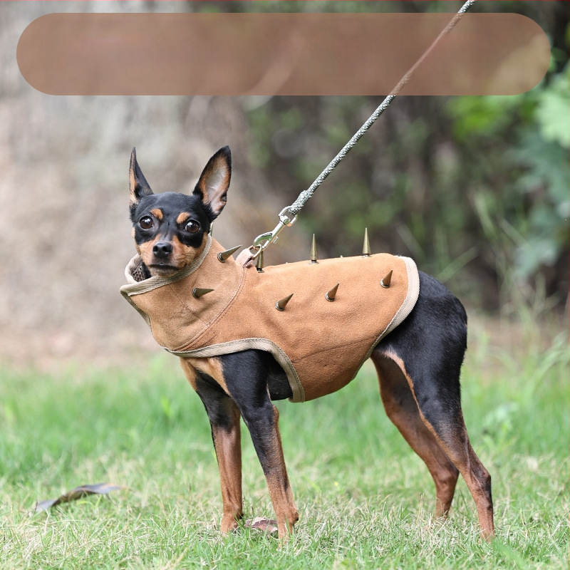 Vesta pentru câini – respirabilă, scut anti-mușcătură, protecție împotriva rupturilor, cataramă reglabilă, PD10077, DogLemi