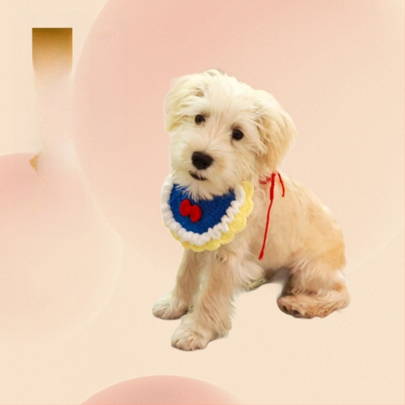 Ručni pleteni vuneni bib za kućne ljubimce s karikaturnim dizajnom, za mačke i male pse, zima, stil princeze