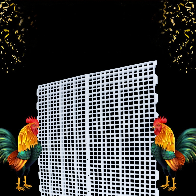 Plastikinė ekskrementų nutekėjimo plokštė viščiukų narveliams — Jiwang prekės ženklas, skirtas gyvulininkystei ir akvakultūrai, temperatūros diapazonas 20–60°C