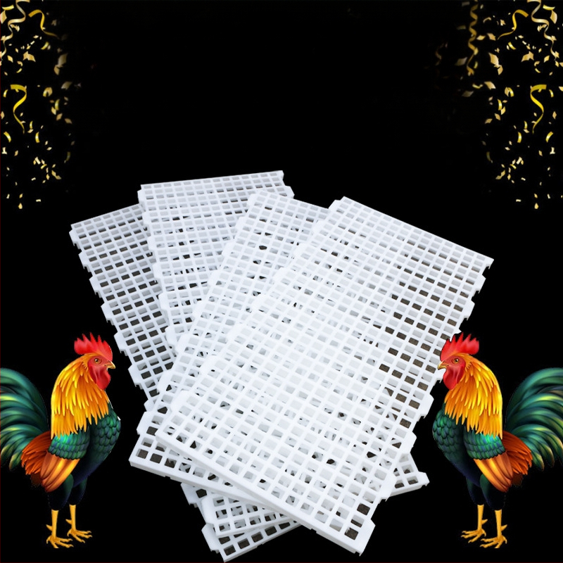 Plastikinė ekskrementų nutekėjimo plokštė viščiukų narveliams — Jiwang prekės ženklas, skirtas gyvulininkystei ir akvakultūrai, temperatūros diapazonas 20–60°C