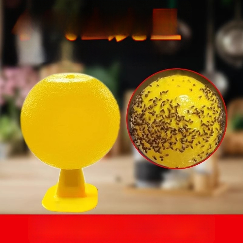 Lapač ovocných mušiek do interiéru — PP materiál, jednoduchý dizajn, netoxický, bez parfumácie