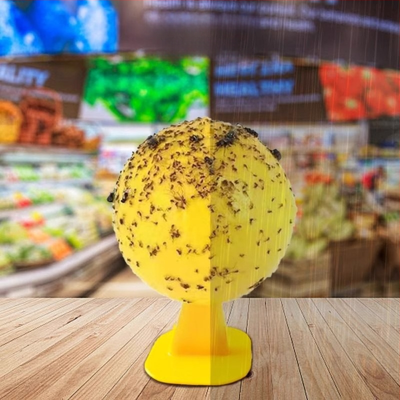 Lapač ovocných mušiek do interiéru — PP materiál, jednoduchý dizajn, netoxický, bez parfumácie