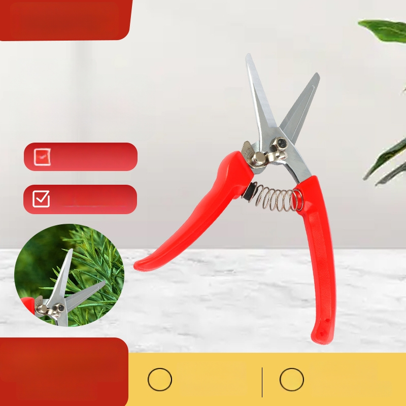 Sap nožnice na rezanie z nerezovej ocele s rovnou hlavou – pružinové, ručná pomôcka pre záhradu a zber ovocia