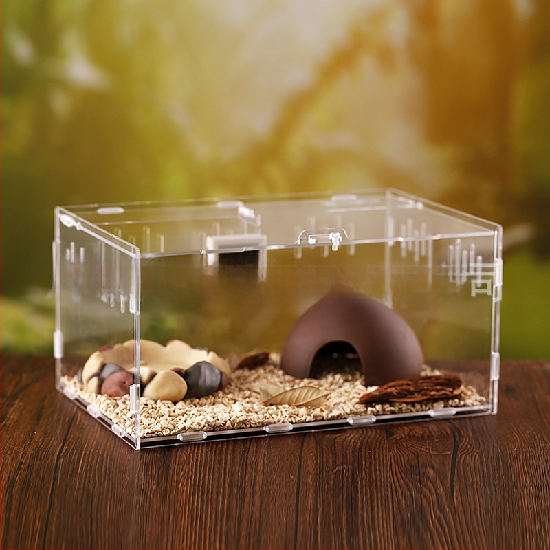Zložená akrylová krabička na chov exotických zvierat: centipede, horned frog, turtle, snail