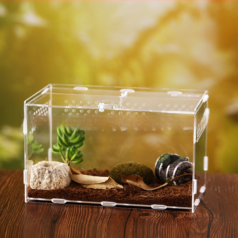 Zložená akrylová krabička na chov exotických zvierat: centipede, horned frog, turtle, snail