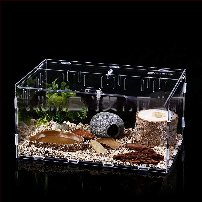 Zložená akrylová krabička na chov exotických zvierat: centipede, horned frog, turtle, snail