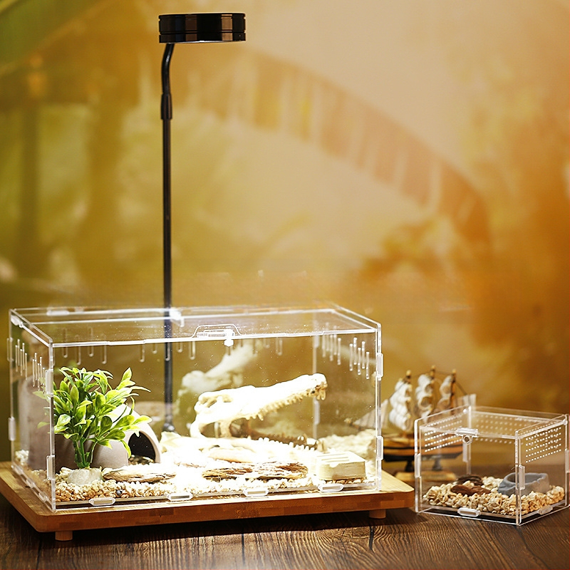 Zložená akrylová krabička na chov exotických zvierat: centipede, horned frog, turtle, snail