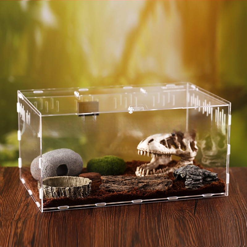 Zložená akrylová krabička na chov exotických zvierat: centipede, horned frog, turtle, snail