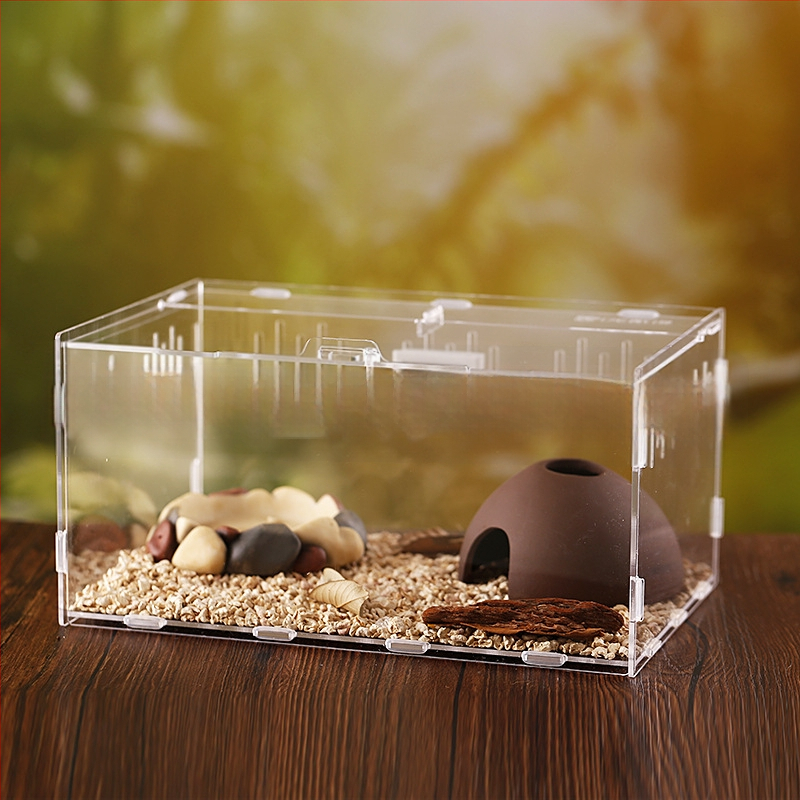 Zložená akrylová krabička na chov exotických zvierat: centipede, horned frog, turtle, snail