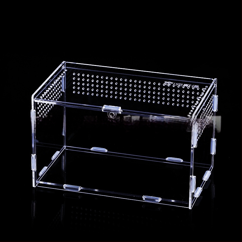 Zložená akrylová krabička na chov exotických zvierat: centipede, horned frog, turtle, snail