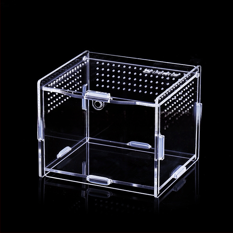 Zložená akrylová krabička na chov exotických zvierat: centipede, horned frog, turtle, snail