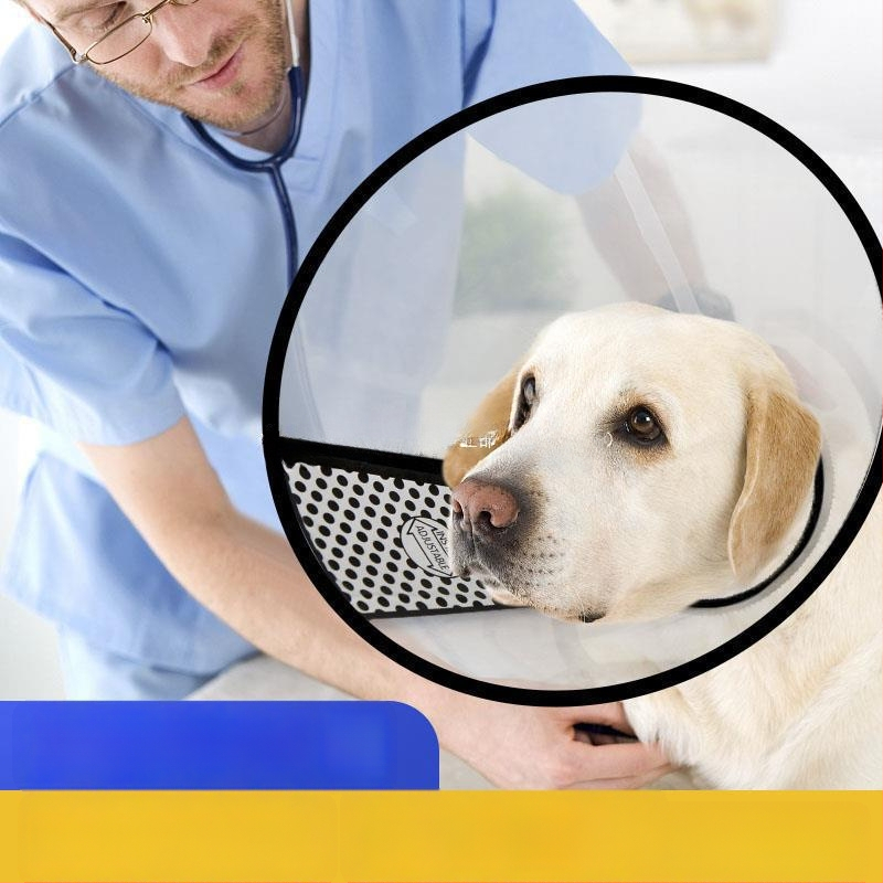 Ochranný štít psa na olizovanie a kŕmenie – umelá koža; všeobecné použitie; celoročné