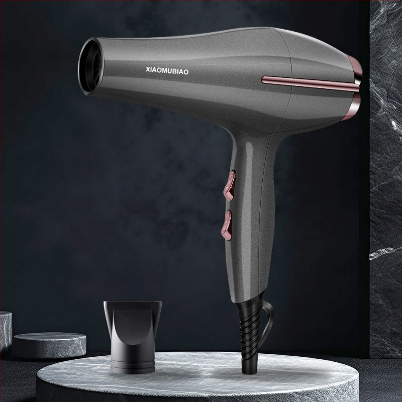 Professionaalne juuksurisalongi föön, 850W, 2 kiirust, koncentratorotsik, ülekuumenemise kaitse, 220V