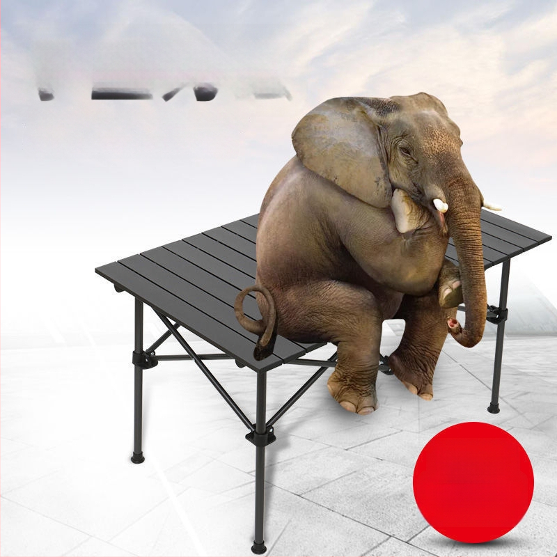 Egg Roll Table — Lauko sulankstomas ilgas stalas kempingui ir kepsninėms, iš anglies plieno, sulankstomas, Egg Roll stilius