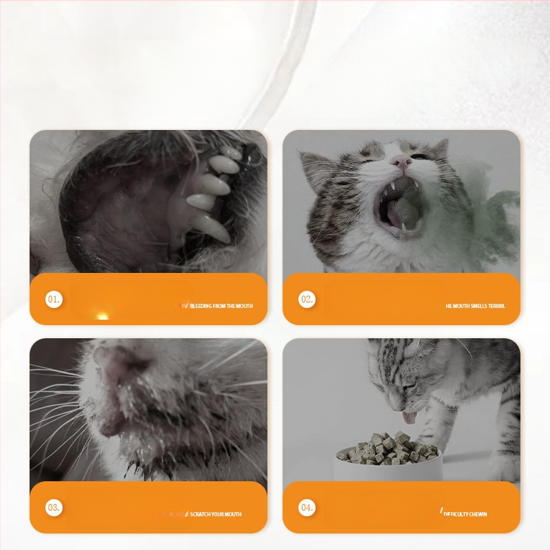 sprej na ústnu hygienu pre domáce zvieratá – pre mačky a psy, antibakteriálny a protizápalový, svieži dych, odstraňuje zubný kameň a škvrny, starostlivosť o ďasná