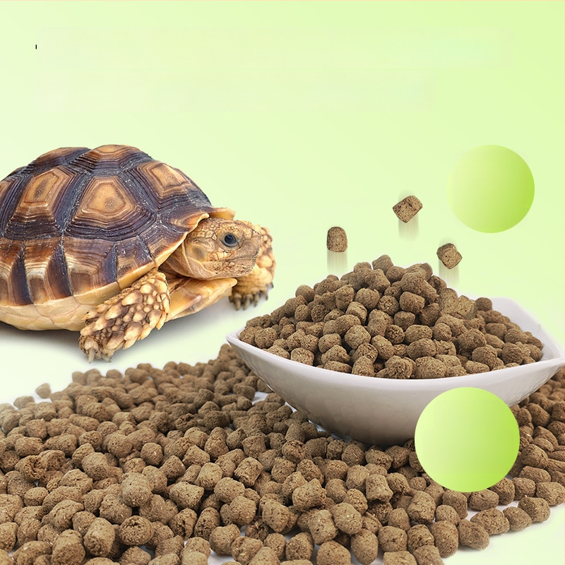 Vysoko vláknité krmivo pre korytnačku Sulcata, diéta púšť a dažďový prales