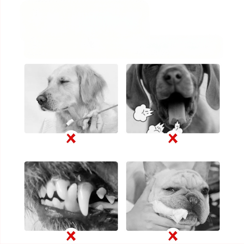 Pushino ústna voda na osvieženie dychu, tekutá, všeobecné použitie