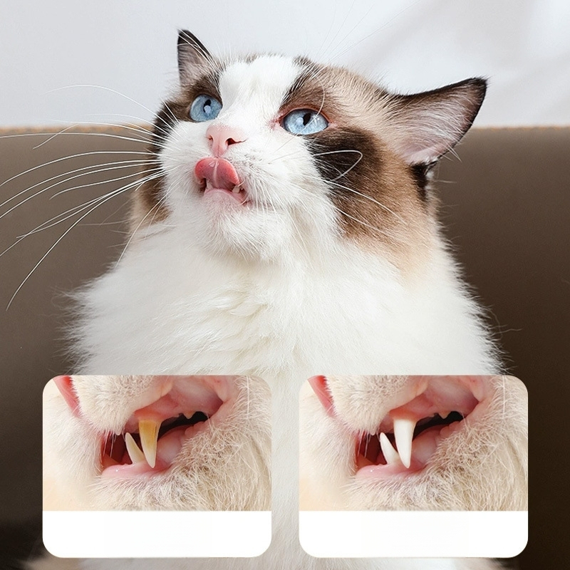 OGAS Čistiaca ceruzka na zuby – Svieži dych, Bielenie zubov, Odstraňovanie škvŕn a zubného kameňa, Univerzálne použitie (Značka OGAS)