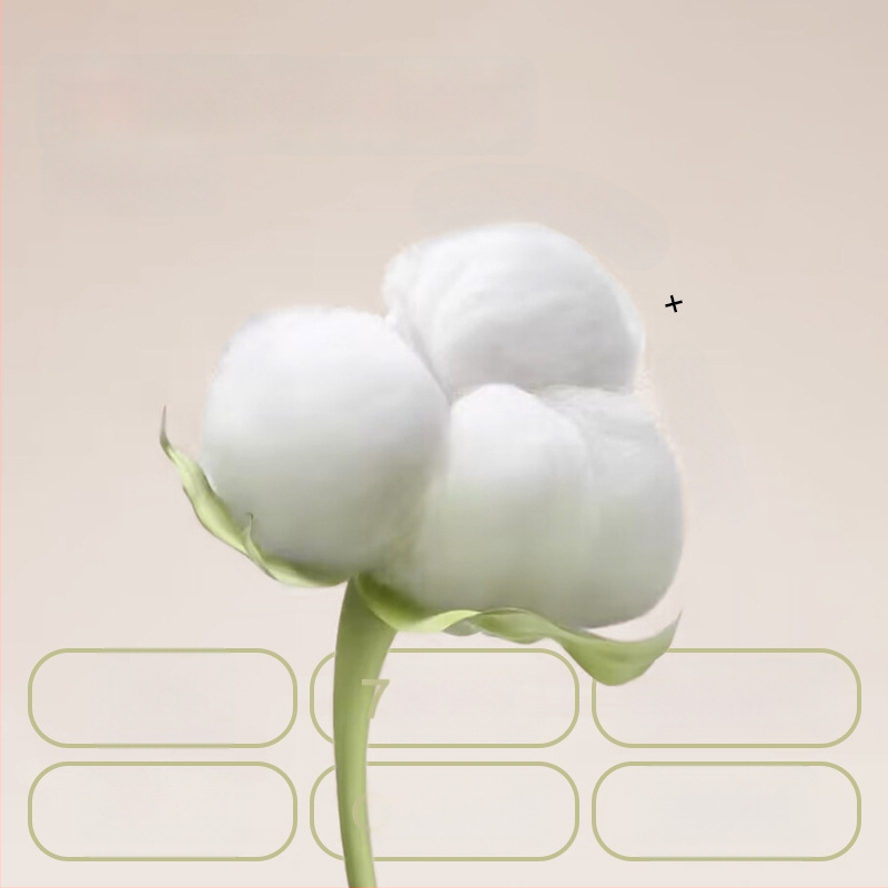 Anfeiya Bavlnený podprsenka s plnou miskou pre dievčatá druhého stupňa (12–15 rokov), tenké tvarované poháriky zo peny, pevné dvojité ramienka, bez zapínania