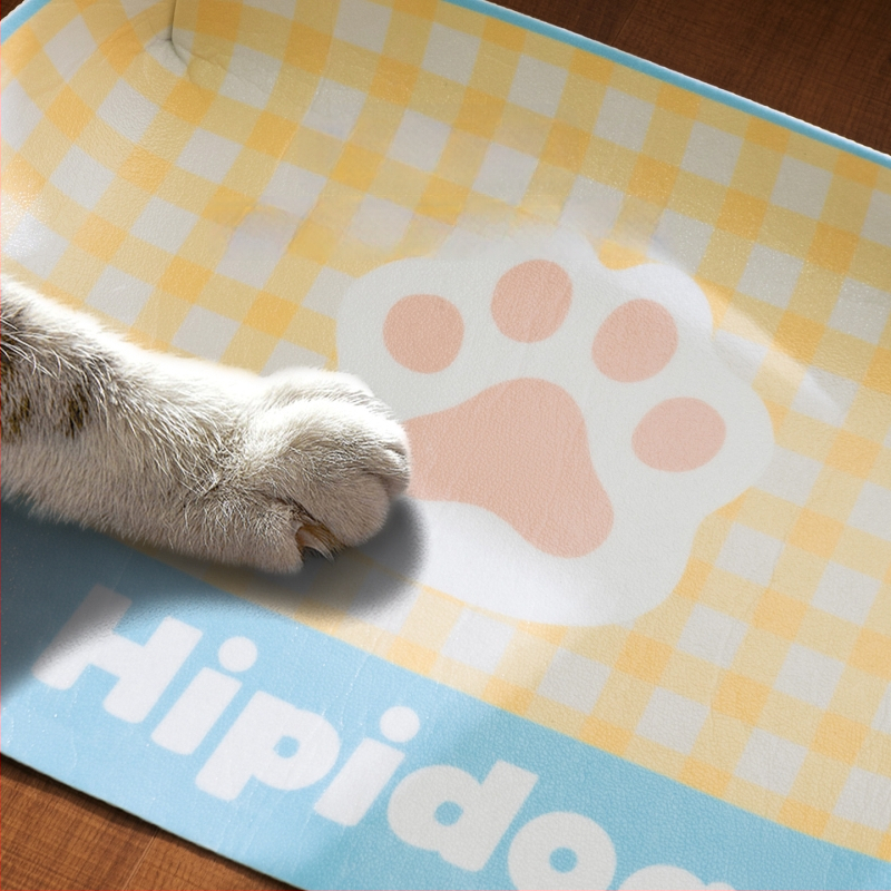 Plastmassist kasside söögialus – tilkade vältimine, libisemisvastane, veekindel, hõlpsasti puhastatav