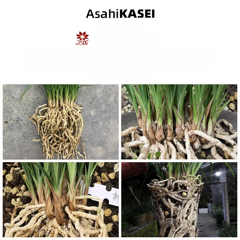 Good Kondo granálne zmesové hnojivo pre orchidey (Orchidaceae) a Clivia — materiál: plast, použitie: iné