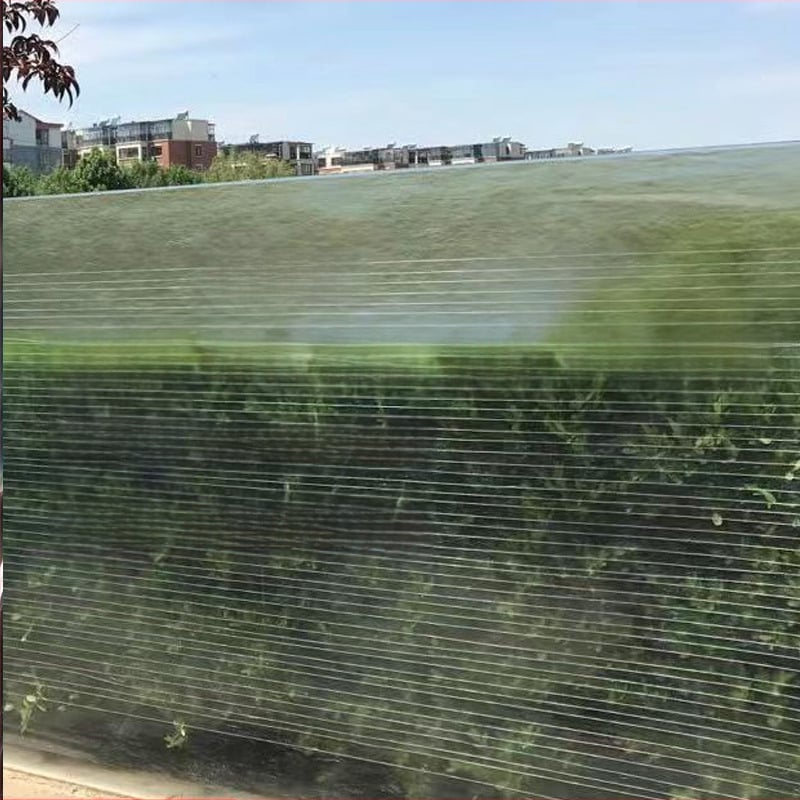 FRP svetelný panel - živicové vlákno, Junqi Building Materials, pre skleníky