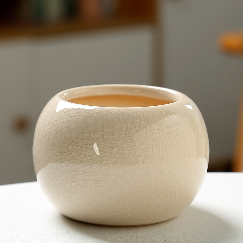 Keramický kvetináč na sukulenty, na podlahu, jednoduchý štýl, domáca záhrada