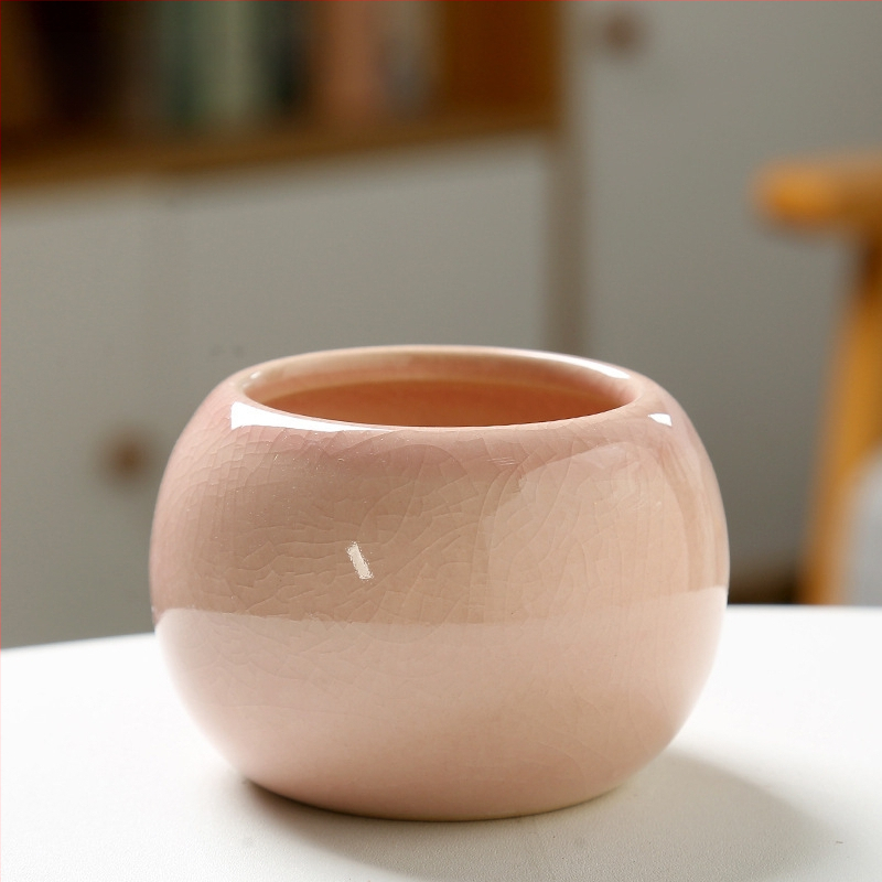 Keramický kvetináč na sukulenty, na podlahu, jednoduchý štýl, domáca záhrada